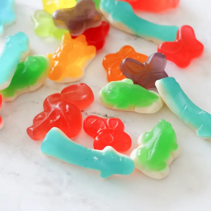 Colorful Animals