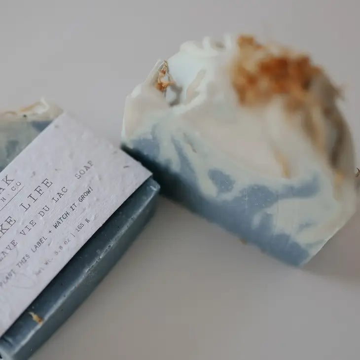 Lake Life Soap Bar