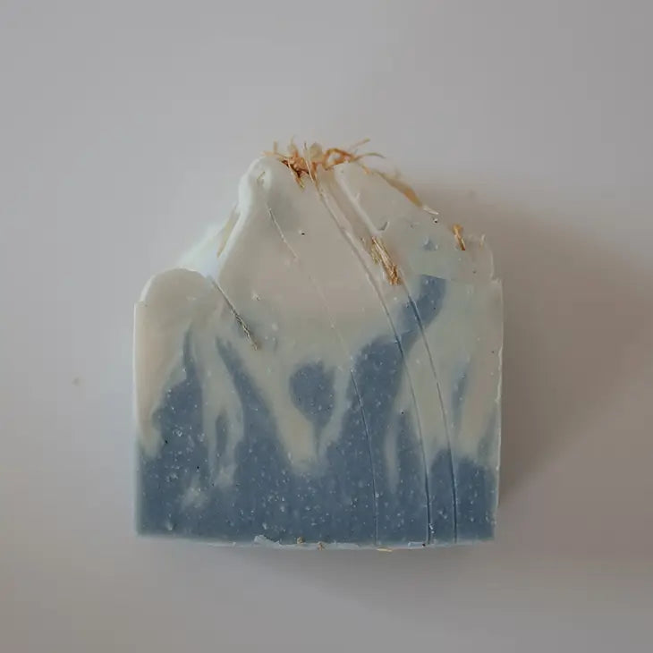 Lake Life Soap Bar