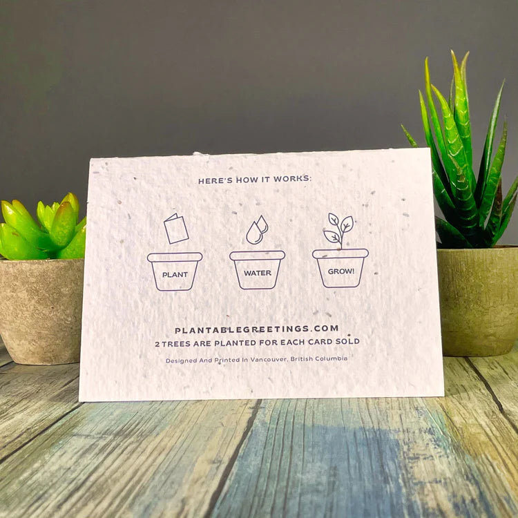 I'm No Cactus Expert Plantable Greeting Card